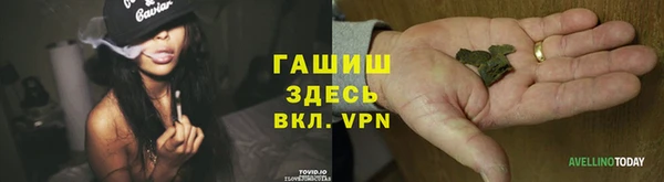 ГАЛЛЮЦИНОГЕННЫЕ ГРИБЫ Горняк