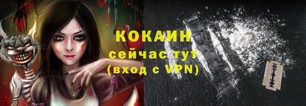 ГАЛЛЮЦИНОГЕННЫЕ ГРИБЫ Горняк