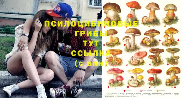 ГАЛЛЮЦИНОГЕННЫЕ ГРИБЫ Горняк