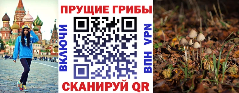 Купить где  Курск  Галлюциногенные грибы мухоморы 